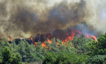 Φωτιά στη Μεσσηνία: Οι φλόγες περικύκλωσαν το χωριό Καρνάσι