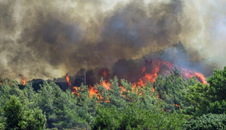 Φωτιά στη Μεσσηνία: Οι φλόγες περικύκλωσαν το χωριό Καρνάσι