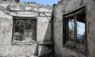 Φωτιές στην Αχαΐα: 600 ευρώ για τις πρώτες ανάγκες των πληγέντων – Ποια μέτρα ανακούφισης ανακοίνωσε ο Πέτσας