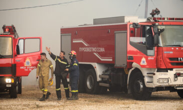 Υπό έλεγχο τέθηκε η πυρκαγιά στην Ευρωστίνη Κορινθίας