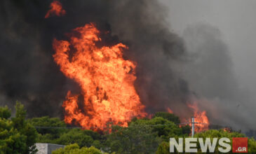 Εικόνες από τη μεγάλη φωτιά στη Βαρυμπόμπη: Έφτασε στην πλατεία και καίει σπίτια – Υπάρχουν εγκλωβισμένοι