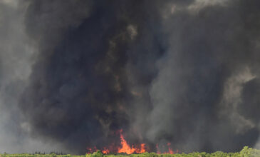 Σε ύφεση η φωτιά στο Λιβαδάκι Ηλείας – Καλύτερη εικόνα και για την πυρκαγιά στην Κορφιώτισσα Κορινθίας