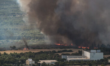 Μεγάλη φωτιά στη Βαρυμπόμπη: Οι φλόγες έχουν φτάσει στους πρόποδες της Πάρνηθας – Έκτακτη ενημέρωση από Χαρδαλιά