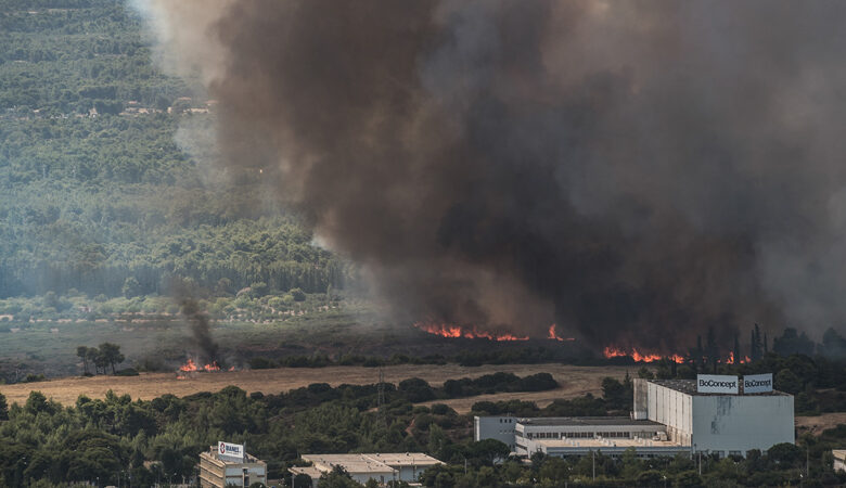 Εισαγγελική έρευνα για την καταστροφική φωτιά στην Βαρυμπόμπη