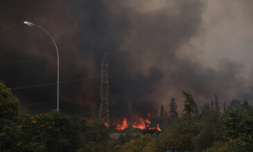 Συναγερμός στον Πύργο: Ξέσπασαν δύο φωτιές κοντά στην πόλη