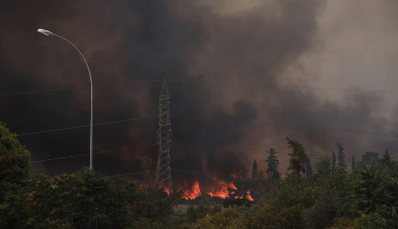 ΤΡΑΙΝΟΣΕ: Αναστέλλονται σιδηροδρομικά δρομολόγια λόγω της πυρκαγιάς στη Βαρυμπόμπη