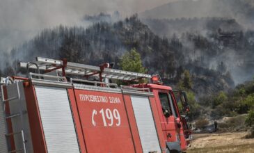 Μικρές εστίες φωτιάς εξακολουθούν να καίνε στην Ηλεία