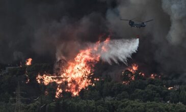 Νέα πυρκαγιά σε δύσβατη δασική έκταση στη Χαλκιδική