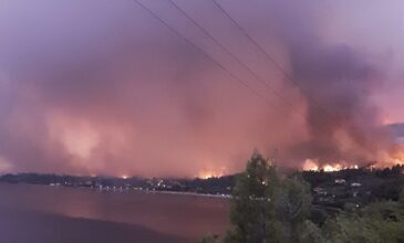 Φωτιά στην Εύβοια: Κύκλωσαν οι φλόγες τη Λίμνη – Με πλοία απομακρύνονται οι κάτοικοι