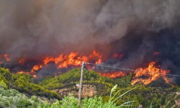 Καλύτερη η εικόνα στις πυρκαγιές σε Κεντρική και Δυτική Μακεδονία