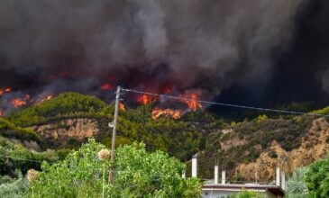 Φωτιά στην Ηλεία: Νέες αναζωπυρώσεις σε περιοχές του δήμου Αρχαίας Ολυμπίας
