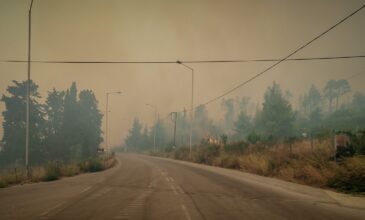 Φωτιά στην Εύβοια: Τρία πύρινα μέτωπα απειλούν να φθάσουν στο Αιγαίο