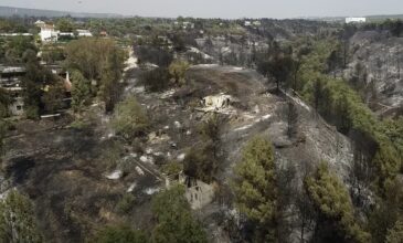 Φωτιά στη Βαρυμπόμπη: Εικόνες απόλυτης καταστροφής από drone την επόμενη ημέρα