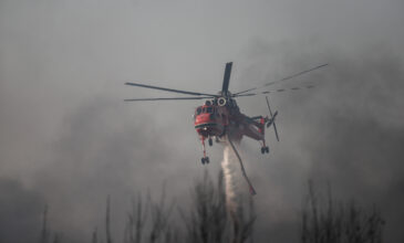 Πολύ υψηλός ο κίνδυνος πυρκαγιάς και την Πέμπτη – «Καμπανάκι» σε όλες τις περιφέρειες της χώρας