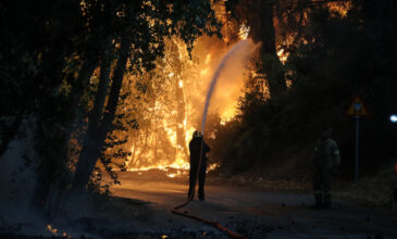 Απογοητευτικά τα στοιχεία για τις πυρκαγιές: 43% περισσότερες φέτος – Αύξηση 500% στις καμένες εκτάσεις
