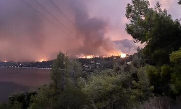Πύρινος εφιάλτης στην Εύβοια: Πάνω από 10 οικισμοί εκκενώθηκαν – «Οι φλόγες είναι μία ανάσα από τα σπίτια»