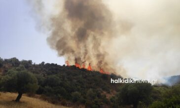 Πυρκαγιά σε δασική έκταση στη Σιθωνία Χαλκιδικής
