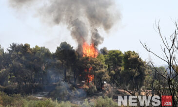 Φωτιά στη Βαρυμπόμπη: Συνεχίζεται η μάχη κόντρα στις αναζωπυρώσεις  – Δείτε τις νέες εικόνες