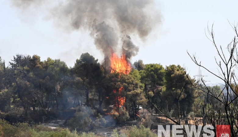 Φωτιά στη Βαρυμπόμπη: Συνεχίζεται η μάχη κόντρα στις αναζωπυρώσεις  – Δείτε τις νέες εικόνες