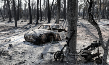 Φωτιά στη Βαρυμπόμπη: «Τα οικόπεδα ήταν τρία χρόνια ακαθάριστα» – Τι λένε οι κάτοικοι