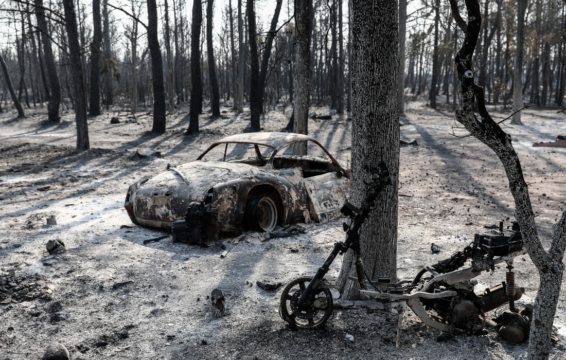Βορίδης για φωτιές: Άμεσα 600 έως 6.000 ευρώ για τις άμεσες ανάγκες των πυρόπληκτων