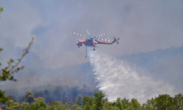 Φωτιά στη Μεγαλόπολη: Μήνυμα από το 112 για εκκένωση της κοινότητας Λεοντάρι