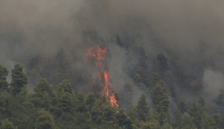 Φωτιά στην Εύβοια: Οι φλόγες κυκλώνουν τα χωριά Κεραμειά και Σκεπαστή – Εκκένωση του δήμου Νηλέως