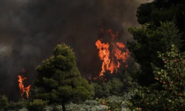 Πολύ υψηλός κίνδυνος πυρκαγιάς αύριο σε Αττική, Εύβοια και Χίο