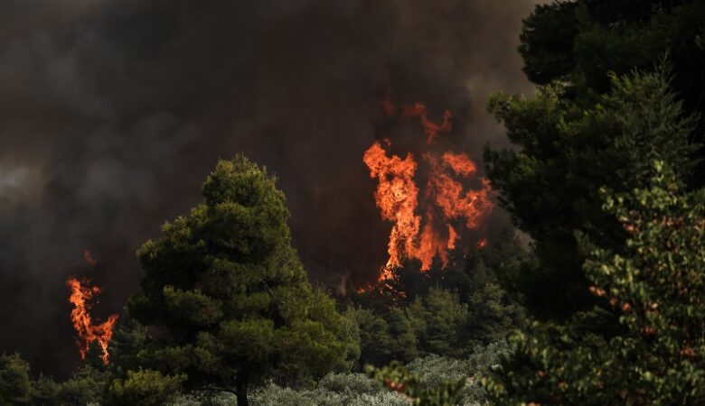 Πολύ υψηλός κίνδυνος πυρκαγιάς αύριο σε Αττική, Εύβοια και Χίο