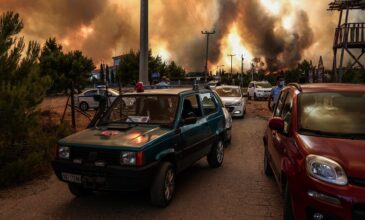 Μηνυτήρια αναφορά του δικηγόρου Βασίλη Ταουξή για τις καταστροφικές φωτιές