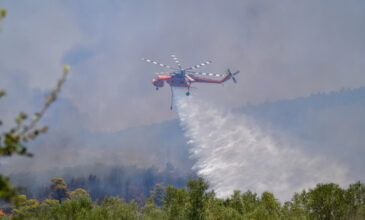 Φωτιές στη Μεσσηνία: Μάχη με τις φλόγες σε Μέλπεια και Βλαχόπουλο – Πώς κινούνται τα μέτωπα
