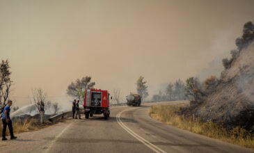 Φωτιά στην Εύβοια: «Καταστράφηκε ο κόσμος οικονομικά, τελειώσαμε – Δεν υπάρχει πια κανένα πεύκο»