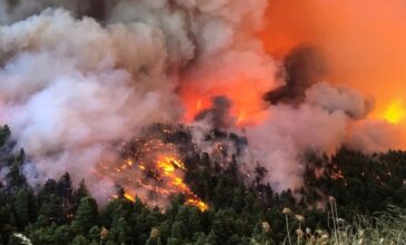 Ακραίος κίνδυνος πυρκαγιάς και αύριο 6 Αυγούστου σε πολλές περιοχές της χώρας