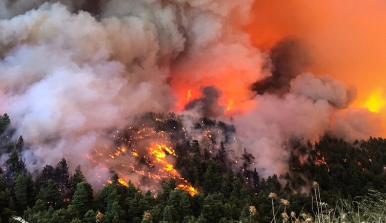 Ακραίος κίνδυνος πυρκαγιάς και αύριο 6 Αυγούστου σε πολλές περιοχές της χώρας