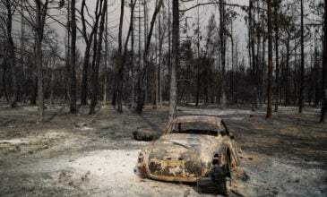 Φωτιές: Σε συναγερμό η Πυροσβεστική σε όλη τη χώρα – Πόσες χιλιάδες στρέμματα κάηκαν σε Βίλια και Κερατέα