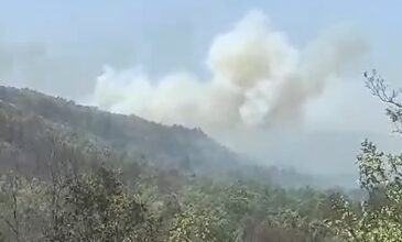 Φωτιά στα Γρεβενά: Μάχη με τις αναζωπυρώσεις λόγω της ενίσχυσης των ανέμων