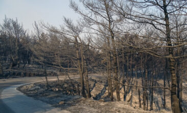 Φωτιά στη Ρόδο: Στάχτη έγιναν 10.000 στρέμματα – Ξεκίνησε η καταγραφή των ζημιών
