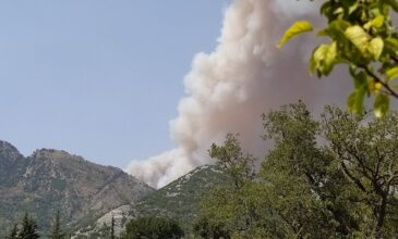 Φωτιά στη Λακωνία: Αναζωπυρώσεις στον Ταΰγετο – Απειλούνται οικισμοί στη Μάνη