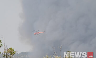 Φωτιά στη Βαρυμπόμπη: Τρεις οι αναζωπυρώσεις – Μήνυμα από 112 και για μέτρα στο Κρυονέρι – Οι πρώτες εικόνες