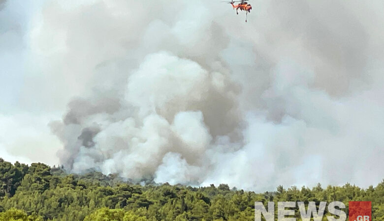 Φωτιά στη Βαρυμπόμπη: Οι φλόγες έφθασαν στα πρώτα σπίτια στη Δροσοπηγή – Δείτε νέες εικόνες