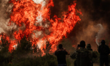 Φωτιά στη Βαρυμπόμπη: Πύρινη κόλαση σε Δροσοπηγή και Κρυονέρι – Δείτε τις τρομακτικές εικόνες