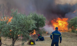 Πέλλα: Συνεχίζεται η «μάχη» με τις φλόγες σε δασική έκταση