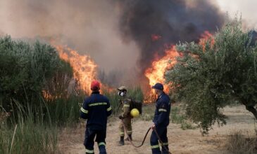 Φωτιά στην Ηλεία: Νέο μεγάλο πύρινο μέτωπο στην περιοχή Νεμούτα