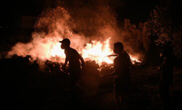Πύρινος εφιάλτης στην Εύβοια: Ολονύκτια μάχη με τις φλόγες σε Γούβες και Αρτεμίσιο