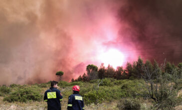 Φωτιές στην Πελοπόννησο: 20 πολίτες και 4 πυροσβέστες σε δομές Υγείας