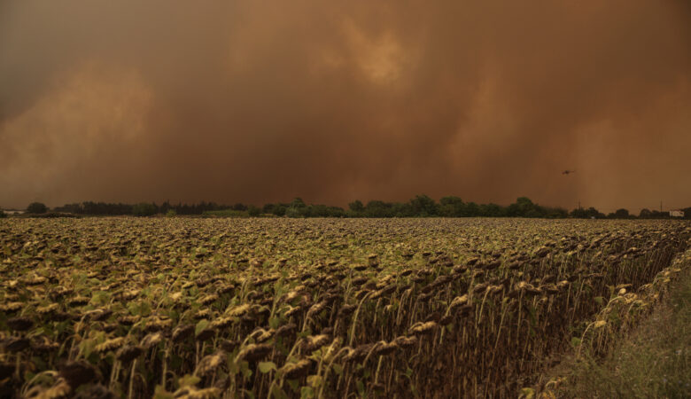 ΕΝΦΙΑ: Απαλλάσσονται και τα αγροτεμάχια που καταστράφηκαν από τις πυρκαγιές