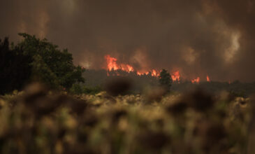 Πολύ υψηλός κίνδυνος πυρκαγιάς το Σάββατο – «Καμπανάκι» για 4 περιφέρειες