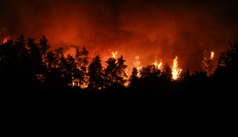 Φωτιά στα Βίλια: Άλλη μια νύχτα αγωνίας και «μάχης» για να μην φτάσουν οι φλόγες στον οικισμό