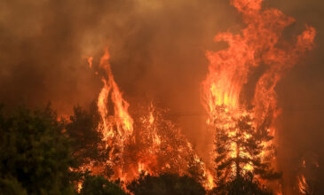 Φωτιά στην Εύβοια: Στις φλόγες παραδόθηκαν τα σπίτια στη Μυρτιά