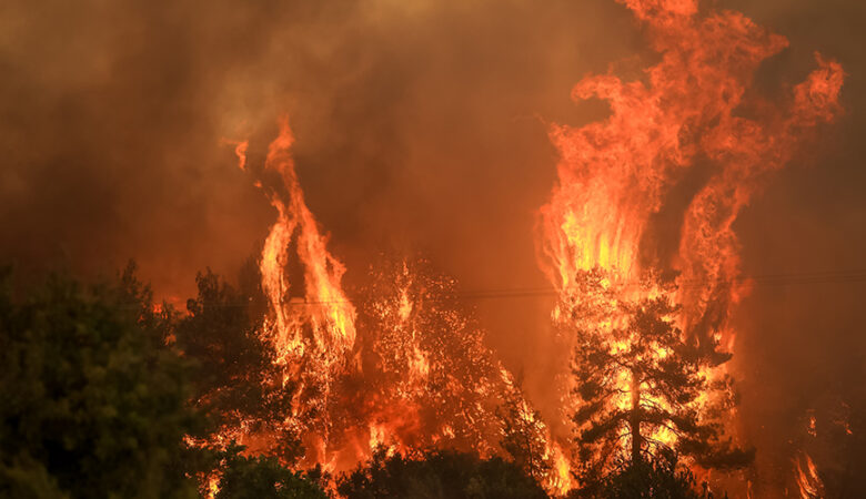 Απίστευτο με τη φωτιά στην Εύβοια: Οι φλόγες επιστρέφουν στη Λίμνη